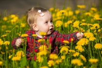 Статистика ЗАГС за май 2024 года