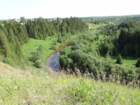 О проведении конкурса природоохранных отрядов «Моё зелёное лето»