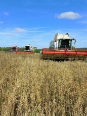 Вести с полей