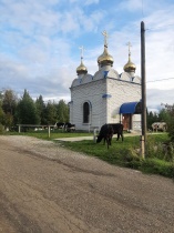 Информация о правилах содержания сельскохозяйственных животных