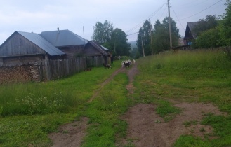 Памятка по содержанию домашних животных