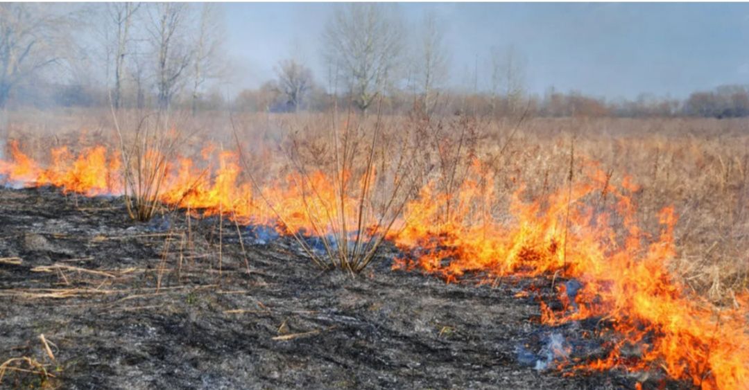 МЧС информирует