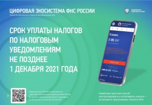 Жителям Пермского края необходимо не позднее 1 декабря уплатить имущественные налоги за 2020 год