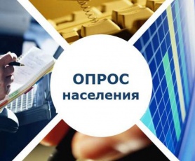 Федеральная служба государственной статистики проведет выборочный опрос населения по вопросам использования информационных технологий и информационно-телекоммуникационных сетей 