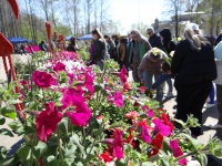 Весенняя сельскохозяйственная ярмарка в Кудымкаре собрала более 80 участников из 11 территорий   