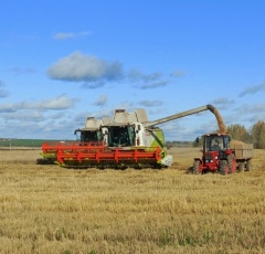 Развитие сельского хозяйства обсудили губернатор Дмитрий Махонин и министр агропромышленного комплекса Анна Быкова