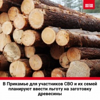 В Прикамье для участников СВО и их семей планируют ввести льготу на заготовку древесины