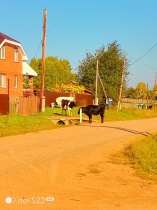 Уважаемые жители  Кудымкарского муниципального округа!