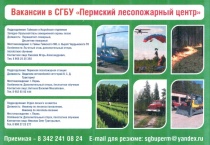 Внимание! Вакансии.